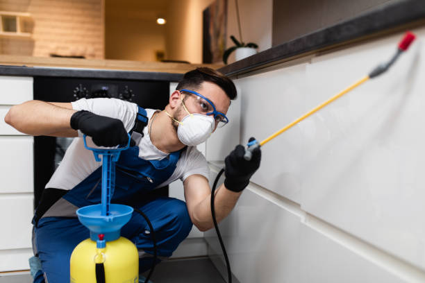 Best Pest Control Near Me  in Mammoth Lakes, CA