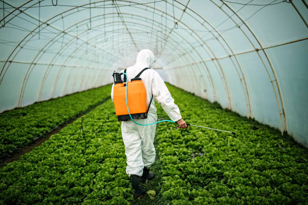 Best Emergency Pest Control  in Mammoth Lakes, CA