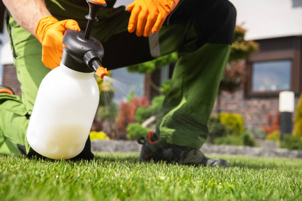 Best Emergency Pest Control  in Mammoth Lakes, CA