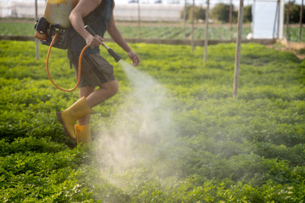 Best Best Pest Control Companies  in Mammoth Lakes, CA