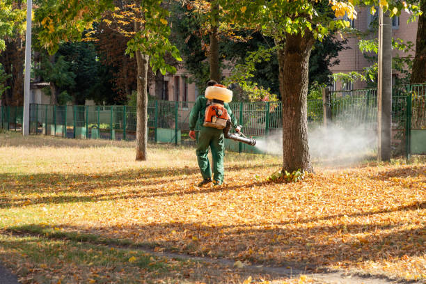 Best Mosquito Control Services  in Mammoth Lakes, CA